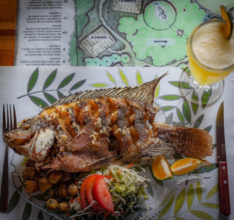 Rancho De Lelo Ecolodge Monteverde Екстер'єр фото