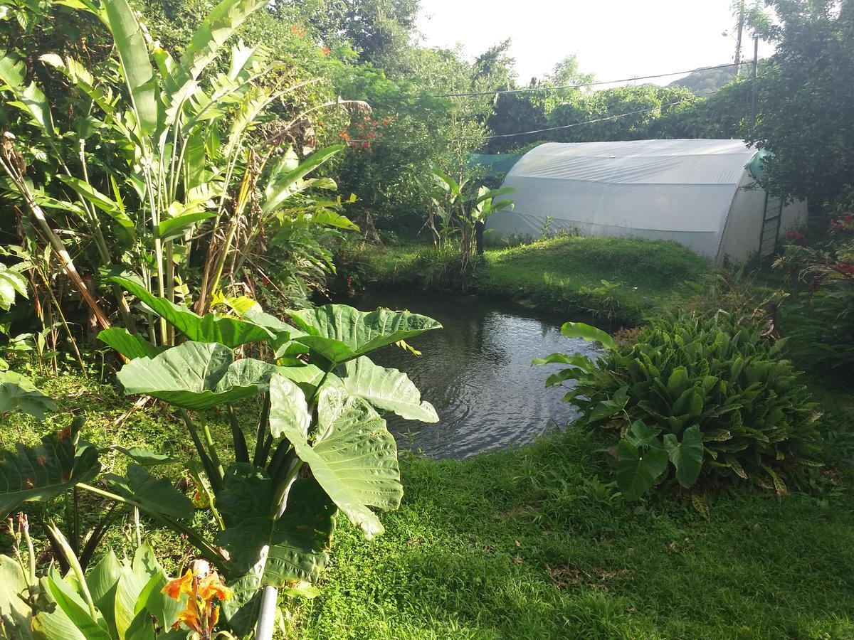 Rancho De Lelo Ecolodge Monteverde Екстер'єр фото