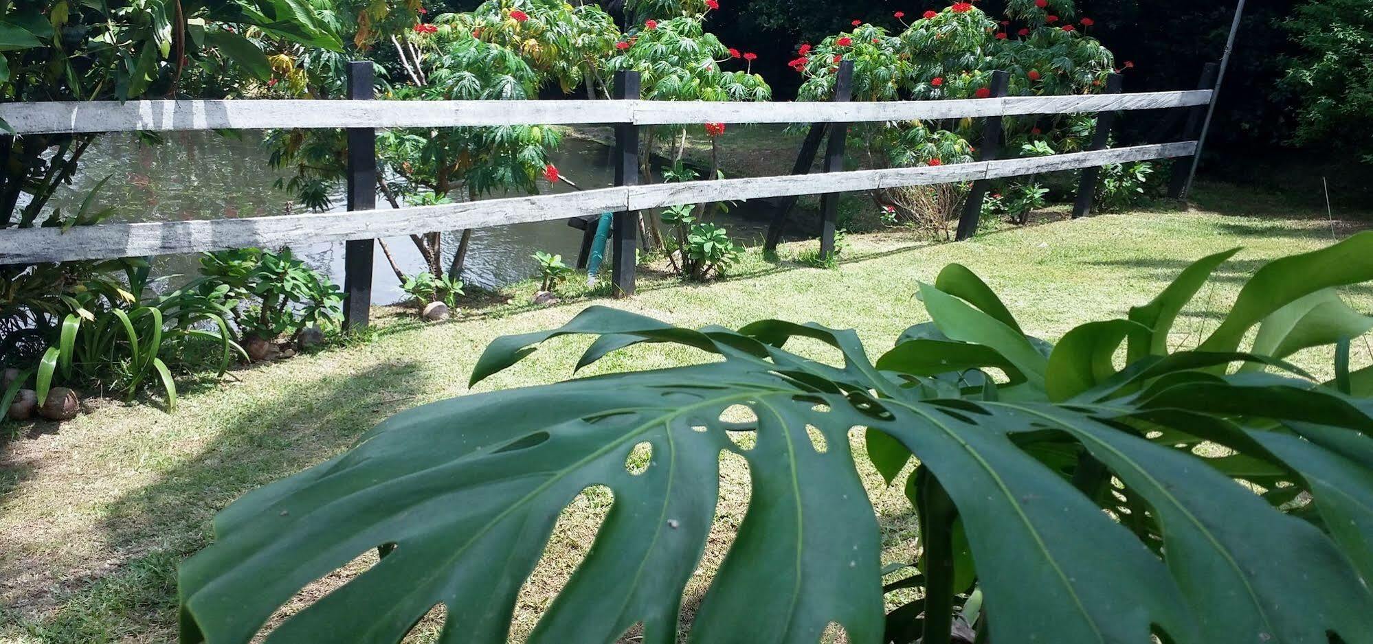 Rancho De Lelo Ecolodge Monteverde Екстер'єр фото