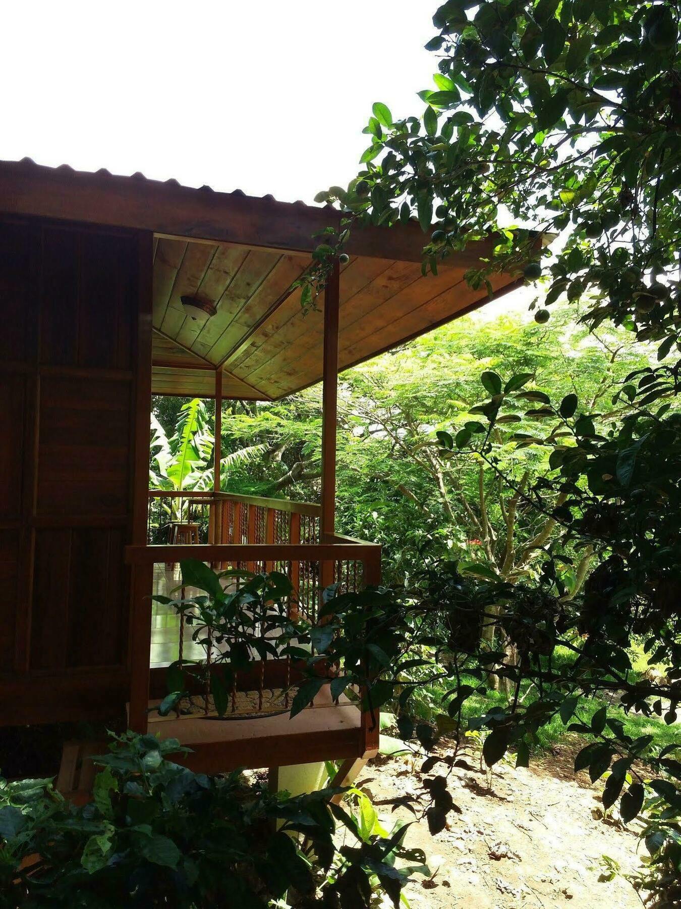 Rancho De Lelo Ecolodge Monteverde Екстер'єр фото