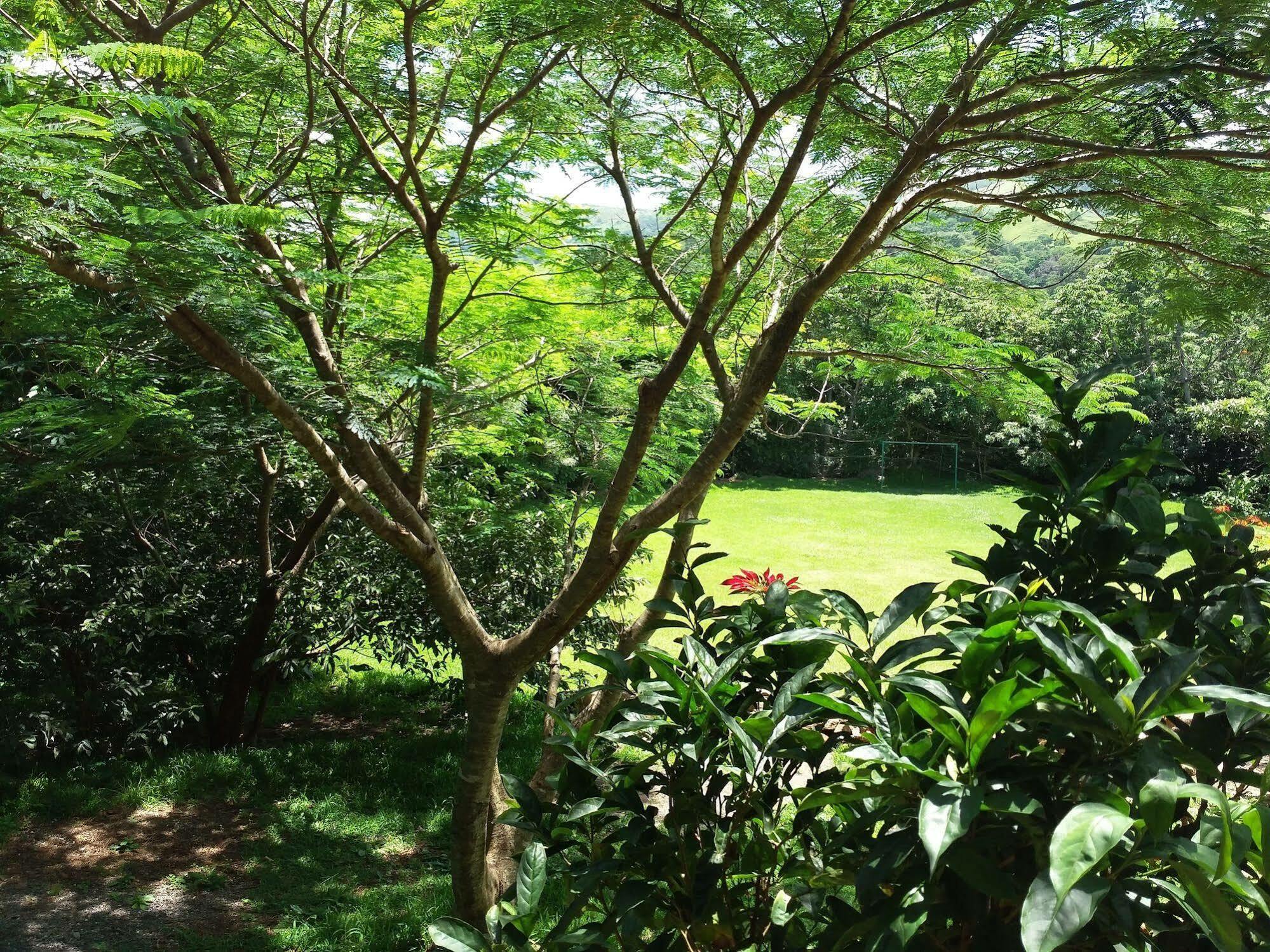 Rancho De Lelo Ecolodge Monteverde Екстер'єр фото