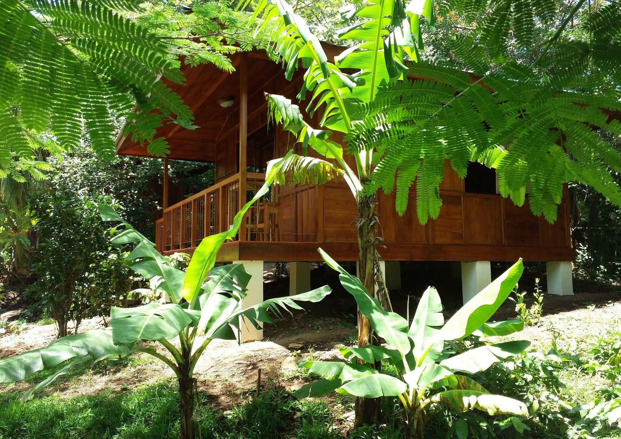 Rancho De Lelo Ecolodge Monteverde Екстер'єр фото
